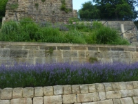 Sandsteinmauer Pirna Schlossberghang